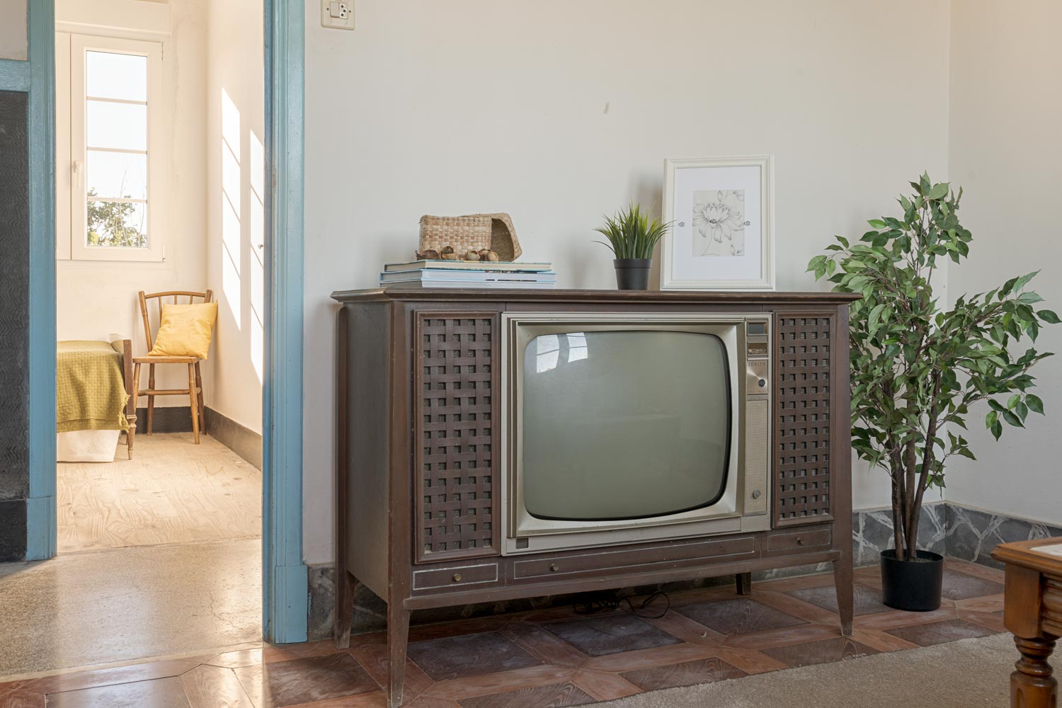 Sala de estar retro con televisión antigua, decoración minimalista y plantas de interior, reflejando una mezcla de historia y simplicidad en una casa de Bergondo, A Coruña."