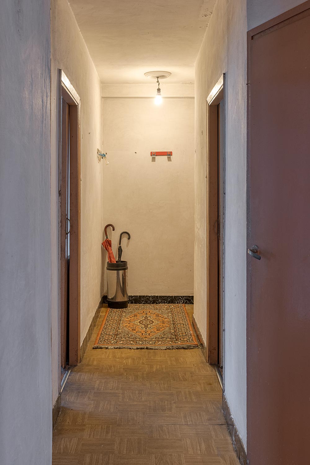 Pasillo interior de vivienda con suelo de parquet y alfombra decorativa.