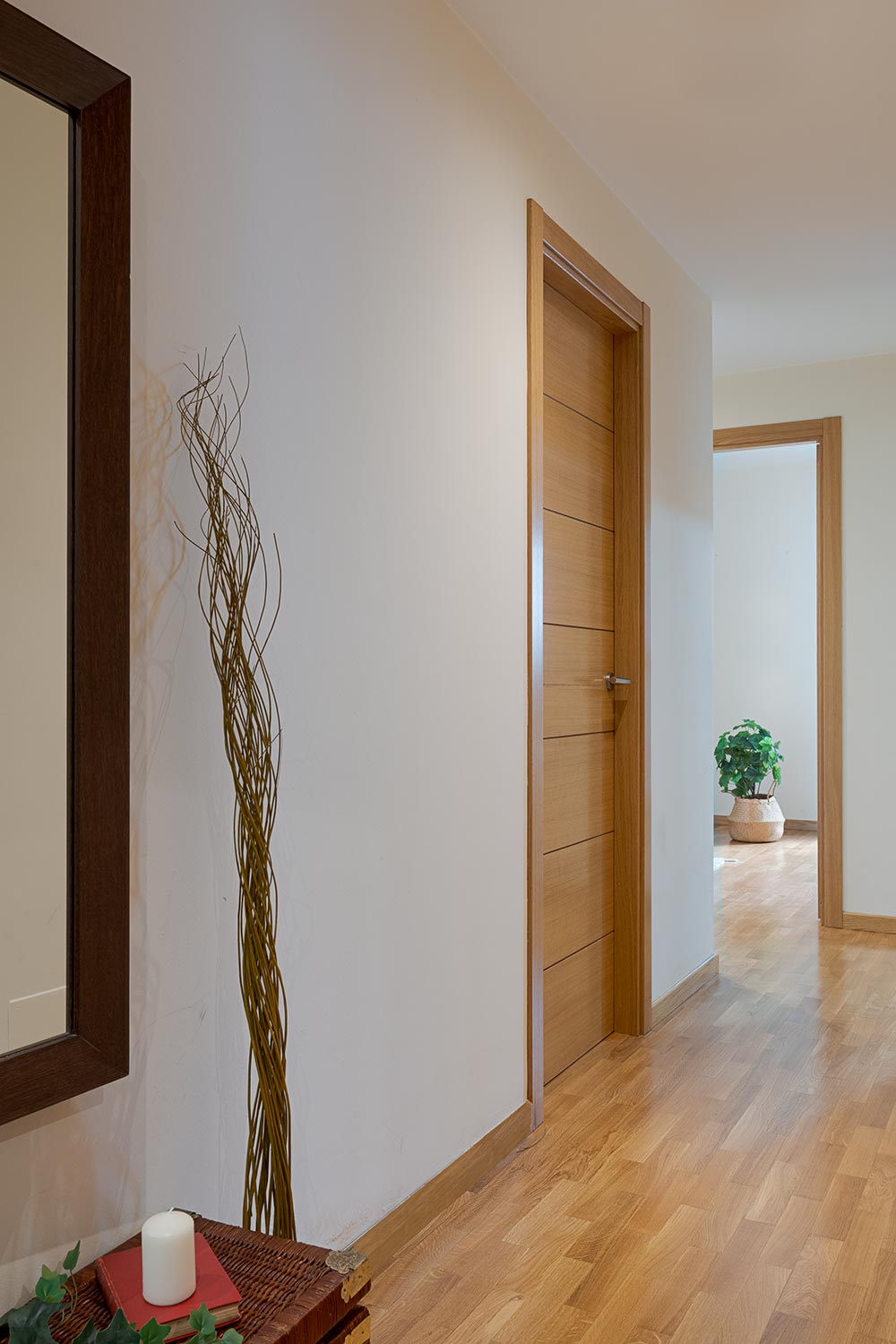 pasillo con espejo y puerta cerrad con vista habitación con planta